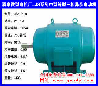 210KW �˼� JSϵ���������������첽�綯�� JS137-8